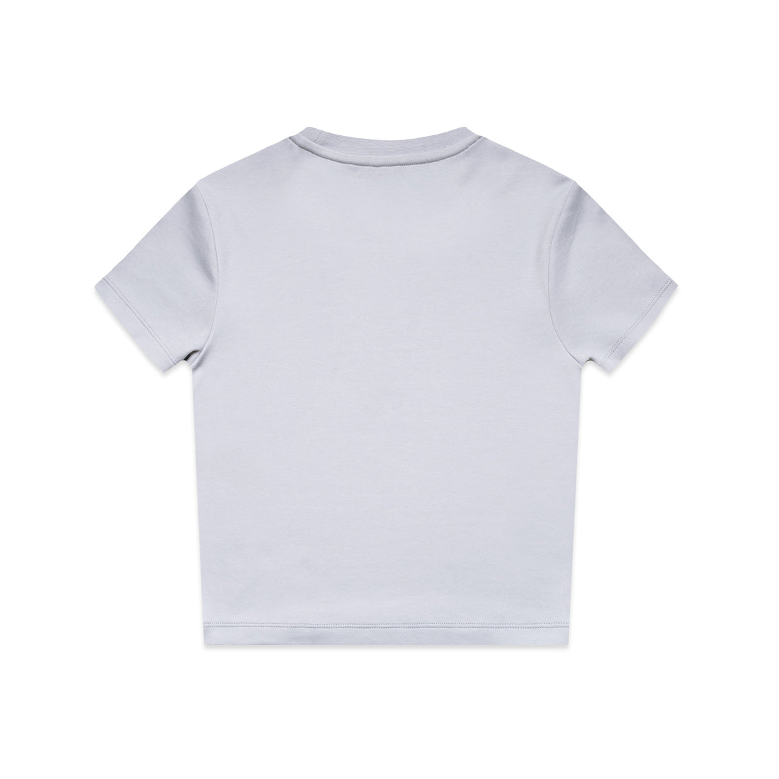 Women's Organic Mini Tee  | Arena Custom Blanks